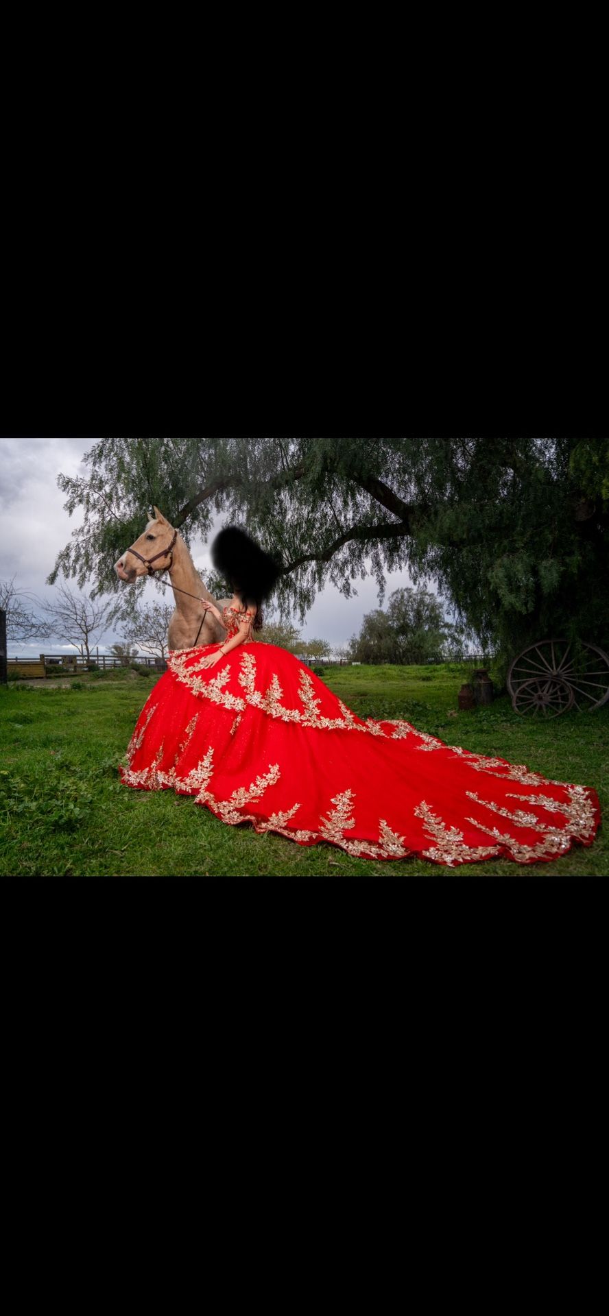 Quinceanera Dress