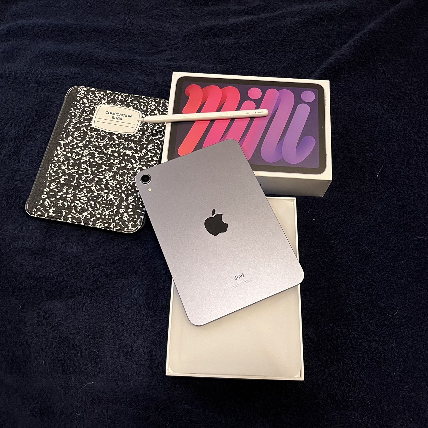 Apple iPad Mini 6 with Apple Pencil - Versatile and Powerful