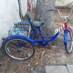 Tricycle for Adult with basket
