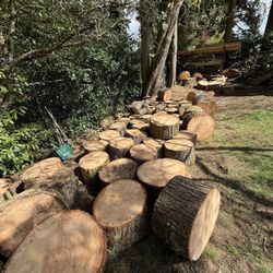 Fir firewood rounds 