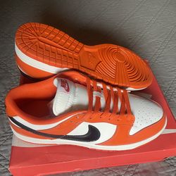 Nike Dunk Low Sz 10