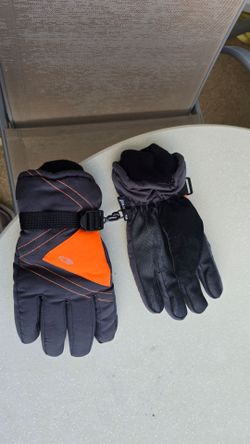 Size small Adult Champion Waterproof Winter Gloves Snow

Waterproof Champion winter gloves in charcoal grey and bright orange. These gloves have a tex