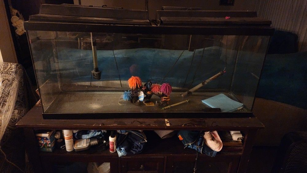 Fish Tank With Stand