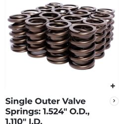 Valve Springs 