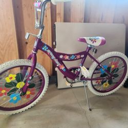 Girls Bike