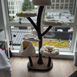 Cat Tree 