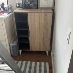 Wayfair Midcentury Shoe Cabinet
