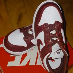 Size 8C BOYS TODDLER NIKE DUNK LOW (WHITE/REDWOOD-GYM RED) FB9107-115-BRAND NEW