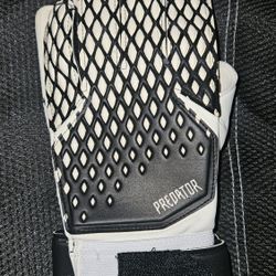 Predator 20 Training Adult Gloves 