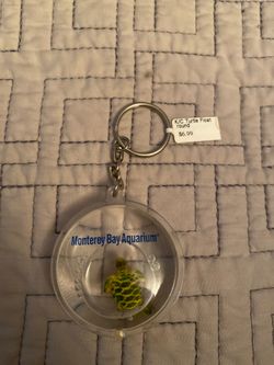 Sea Turtle Key Chain Monterey Bay