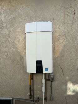 Tankless water heater flush