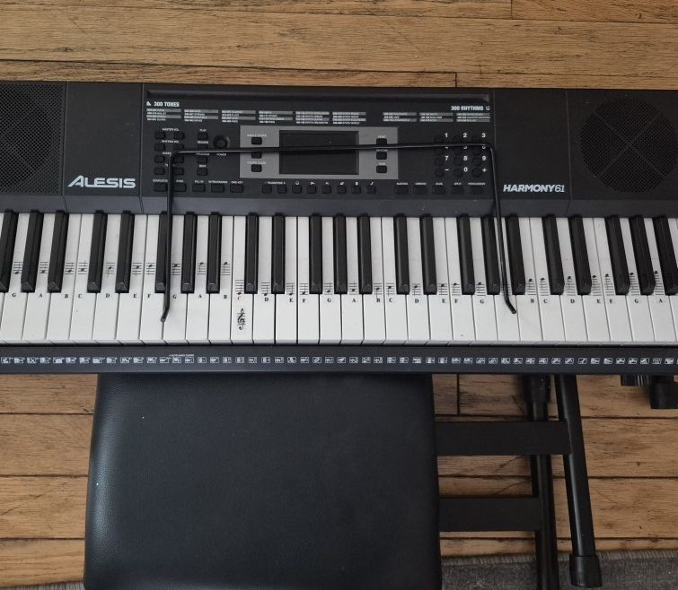 Alesis 61 Key Keyboard - Bench & Stand Included
