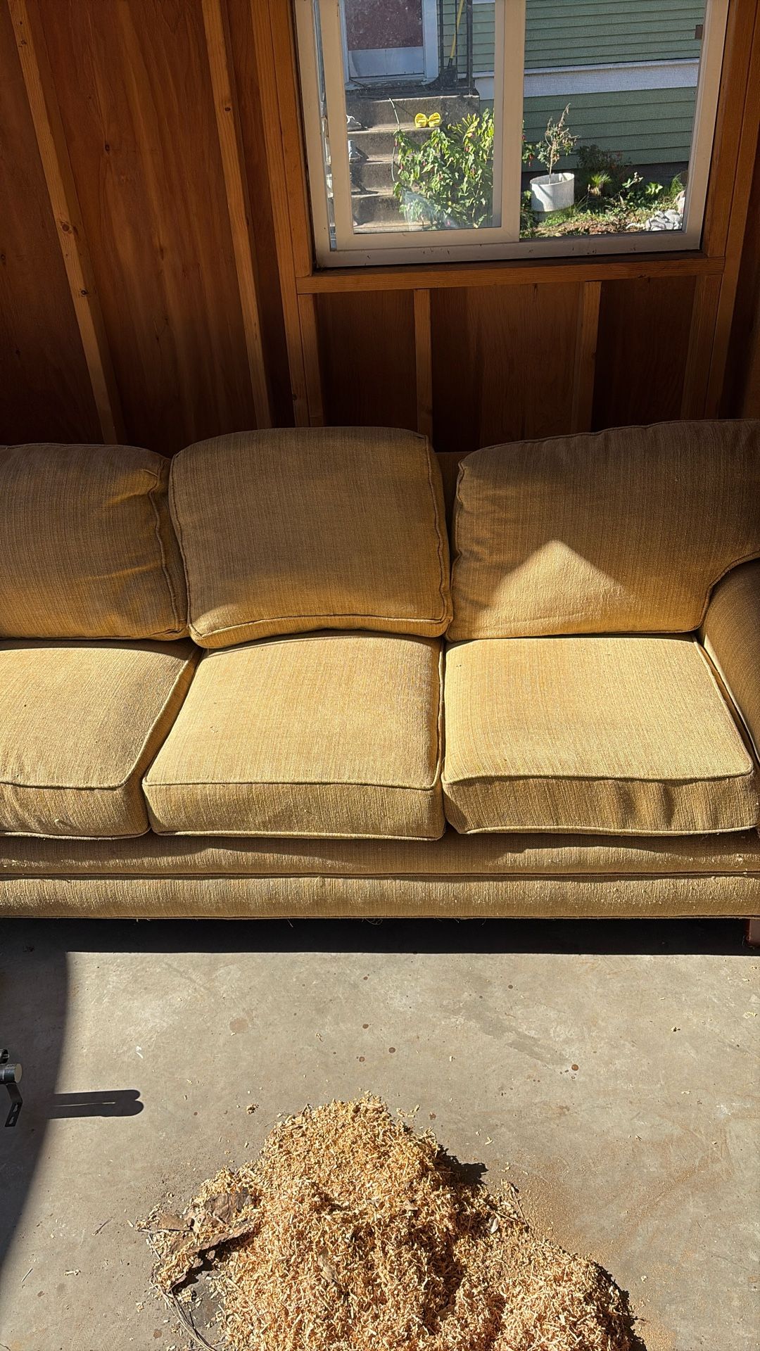 Free Couch