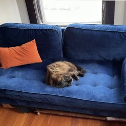 Velvet Couch