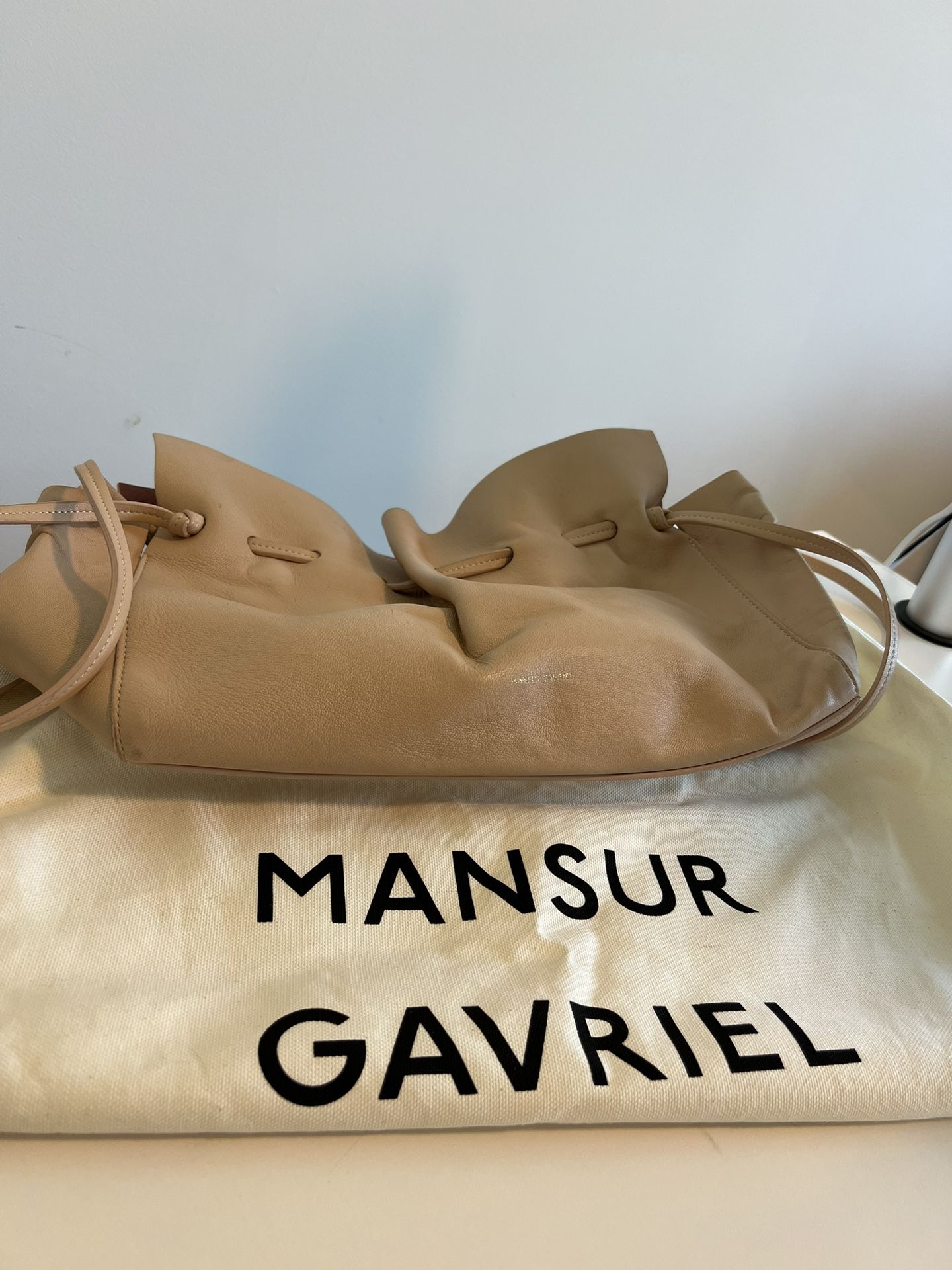 Mansur Gavriel Protea Leather Bucket Bag