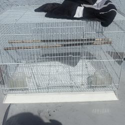 Bird Cage 