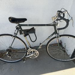 Vintage Pegasus Road Bike