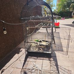 Large Bird Cage