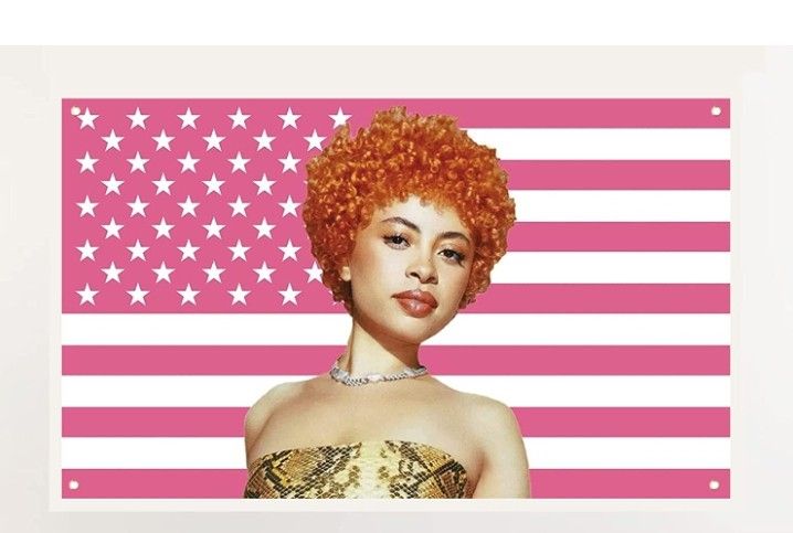 Pink Ice Spice Rapper USA flag 3x5 Ft Outdoor Indoor,Ice Spice Flag Tapestry Pink Tapestry Party Decoration Tapestry For Bedroom Livingroom Dormitory