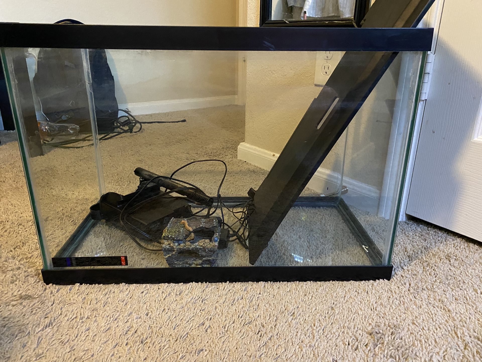 20 gallon fish tank