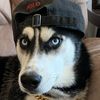 Jaxson