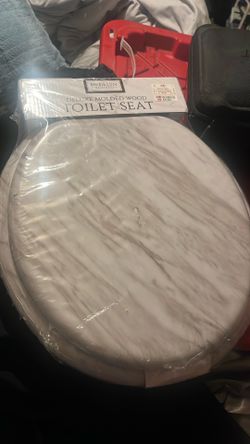 Toilet seat