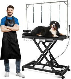 Professional Super Low-Step Electric Dog Grooming Table 49.2"