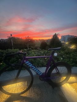 Purple Fixed Gear