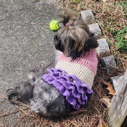 Crochet Pet Sweaters & Collars 🐕 🐈 