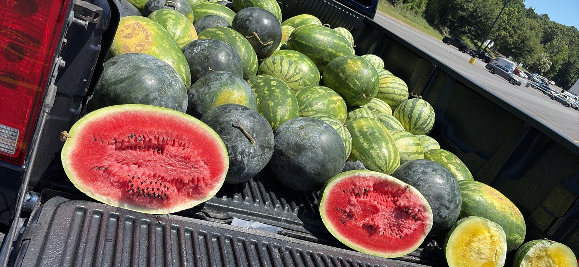 Fresh Cordell GA WaterMelons 🍉