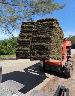 St. Augustine Grass Pallets   (sod)