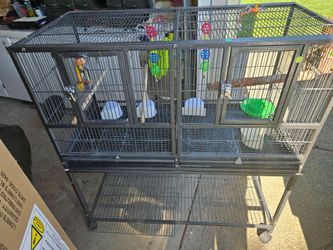 Bird cage