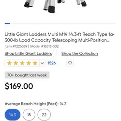Brand New Little Giant Ladder 