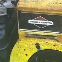 Brigg $ Stratton Motor