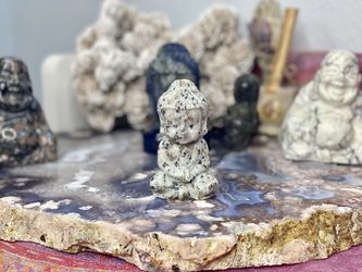 Kiwi Jasper Buddha 