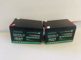 Paquete de 2 baterías EverExceed 12V 12A/EverExceed 12V 12A Battery 2 Pack