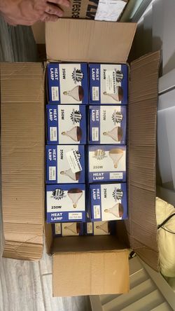 250W Heat Lamp