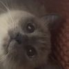 Kiki