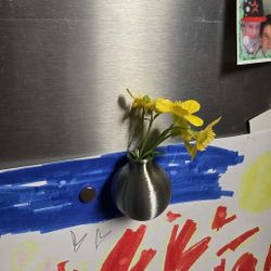 Miniature (Magnetic) Flower Pots