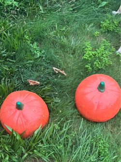 Solid Concrete “forever” Garden Pumpkins RARE