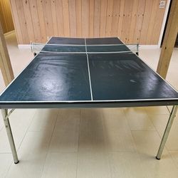 Ping Pong Table