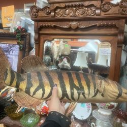 Vintage Large Taxidermy Mount Fish Home Decor 