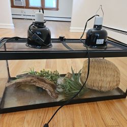 20 Gallon Reptile terrarium