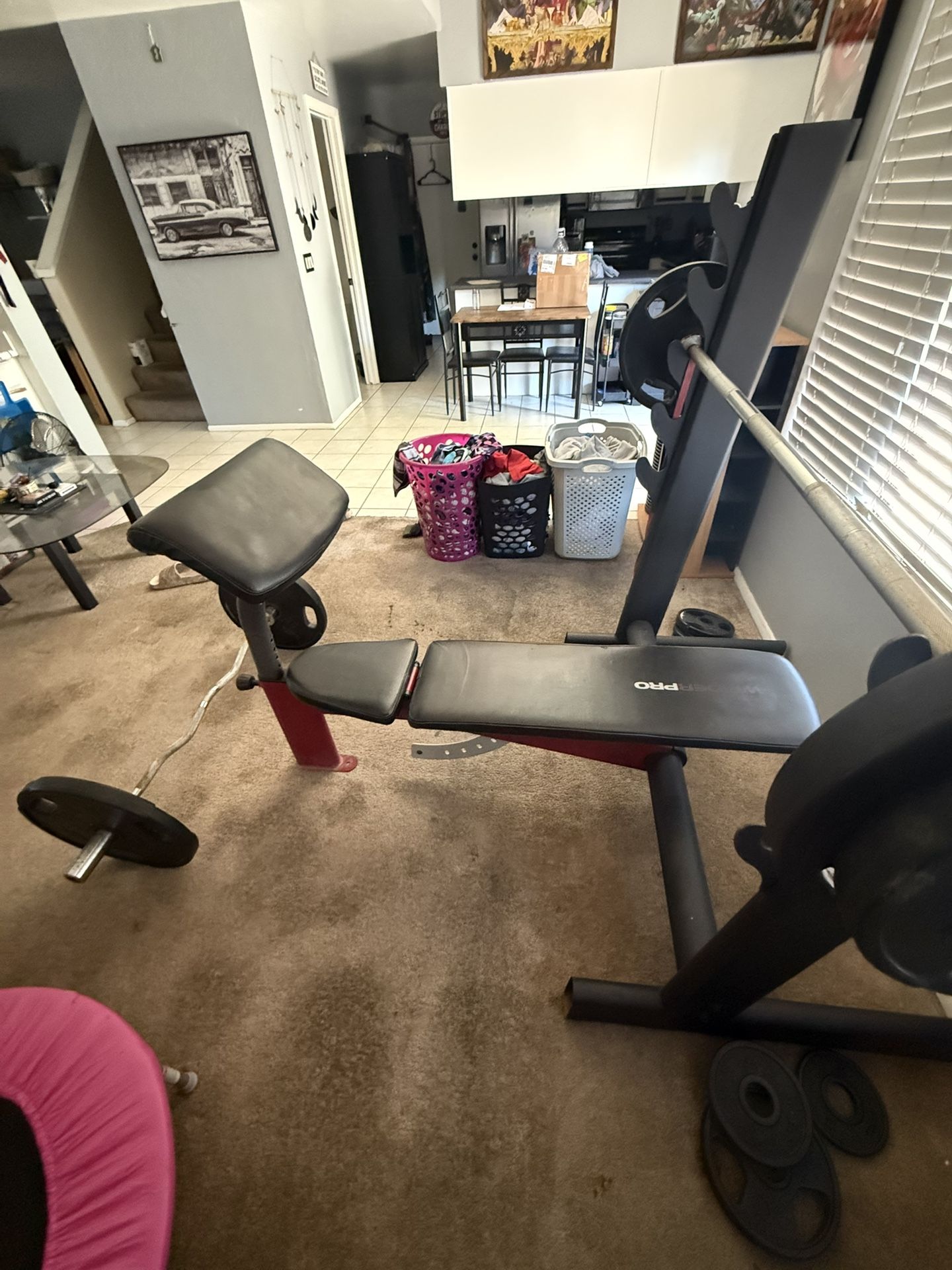 Weight And Weight Bench