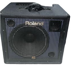 Roland KC 550 AMP