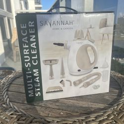 MULTI SURFACE STEAM CLEANER 