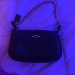 coach bag!