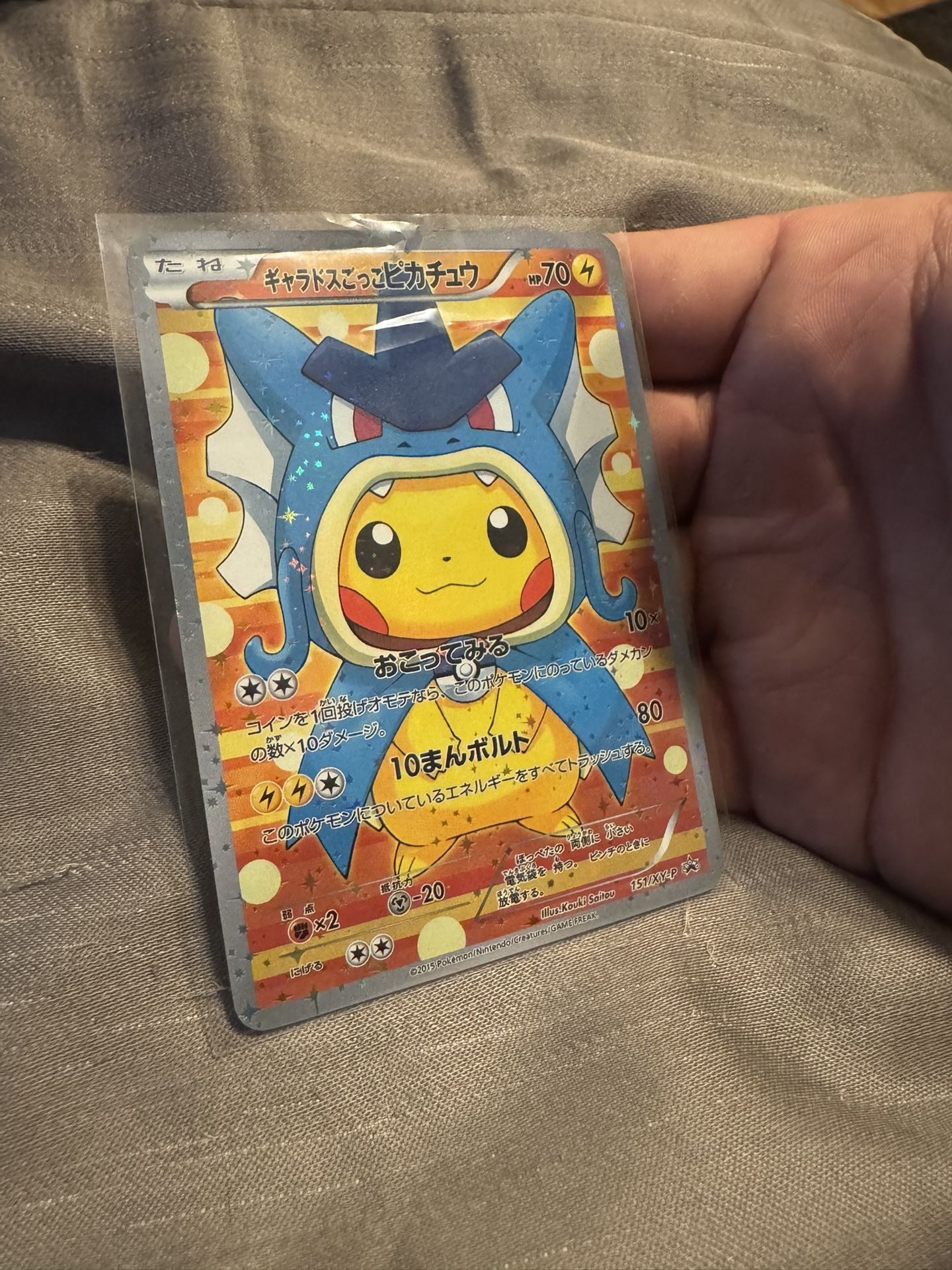 Poncho Pika