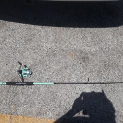 Rarely Used Fishing Pole