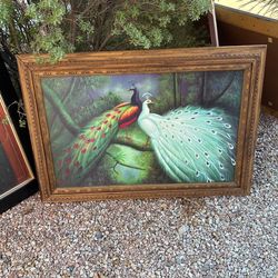 Peacock Painting